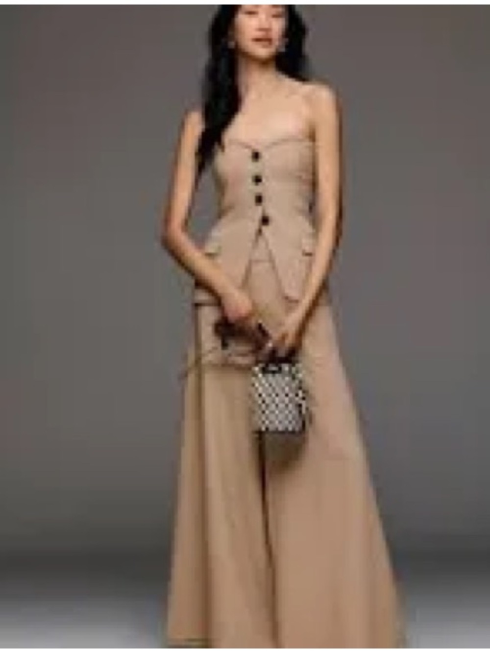 NWT Anthropologie Tailored Palazzo Pants